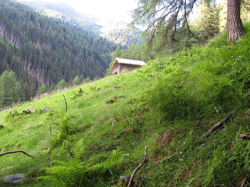 hochalmspitze